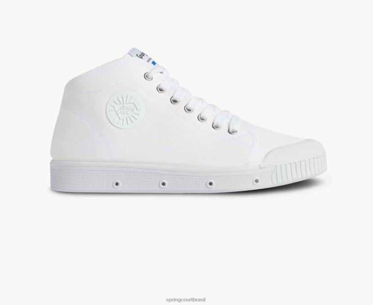 adulto Spring Court 6862R23 tela b2 calçados