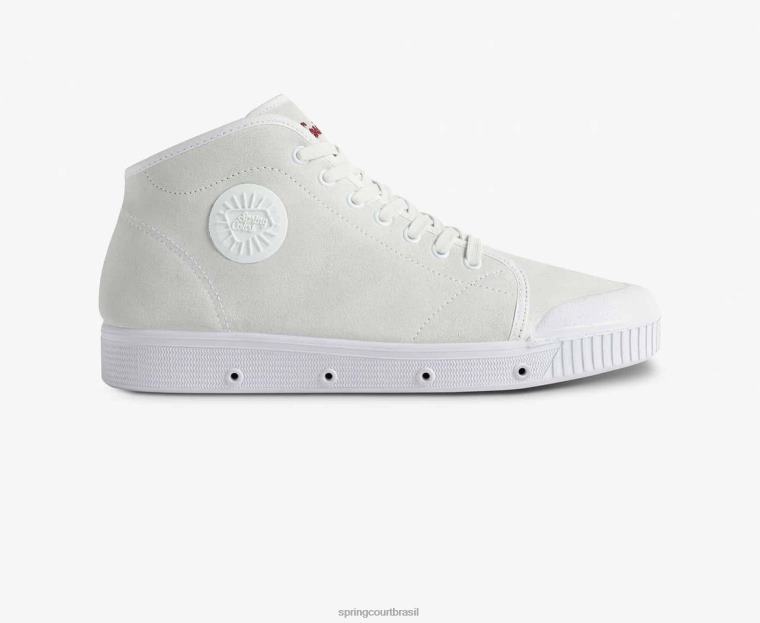 adulto Spring Court 6862R59 camurça b2 calçados