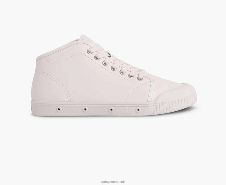 adulto Spring Court 6862R66 pele de carneiro b2 calçados