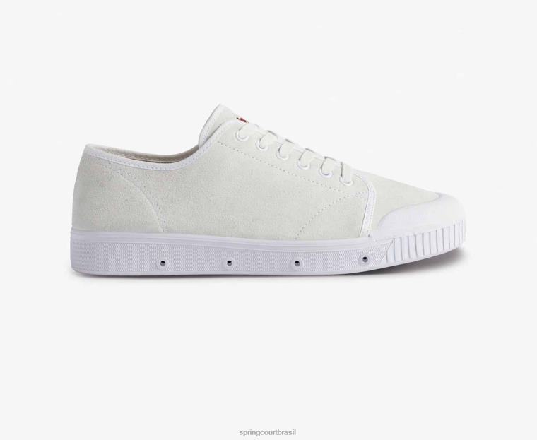 adulto Spring Court 6862R61 camurça g2 calçados