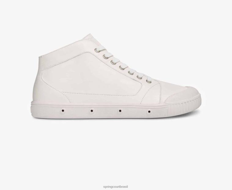 adulto Spring Court 6862R93 pele de cordeiro m2 calçados