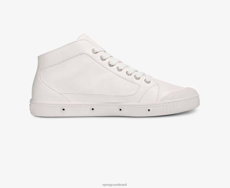 adulto Spring Court 6862R93 pele de cordeiro m2 calçados