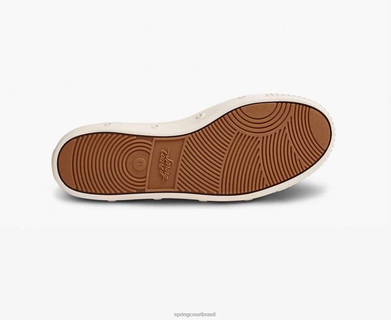 adulto Spring Court 6862R98 pele de cordeiro m2 calçados